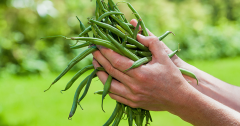 Simple Recipe with French Green Beans