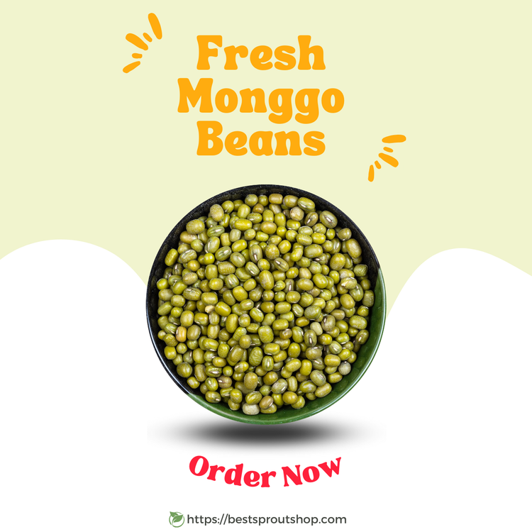 Fresh_Monggo_Beans