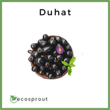 Duhat (Java Plum) | From 250g - 1KG