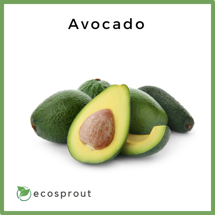 Avocado | 500g-1kg