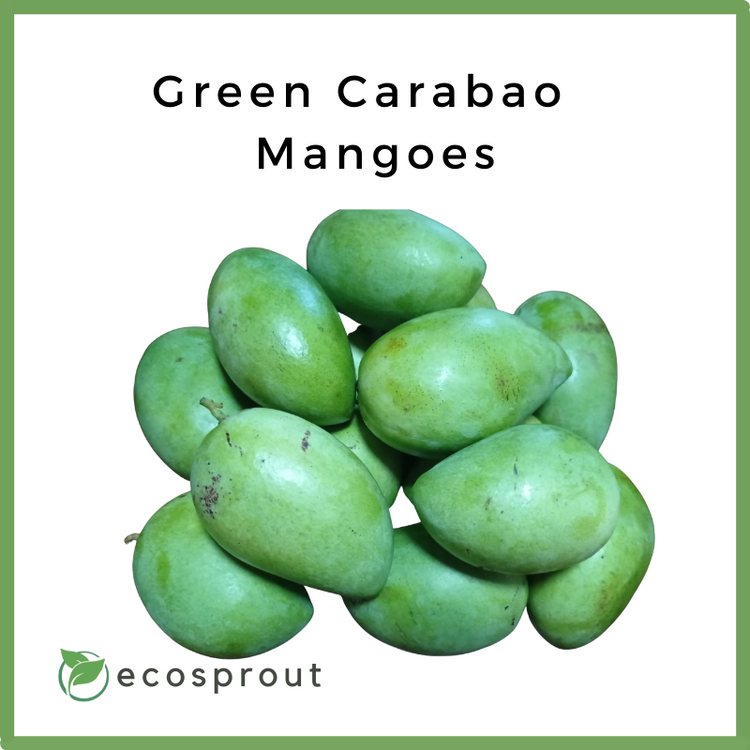 Green Carabao Mangoes | KG