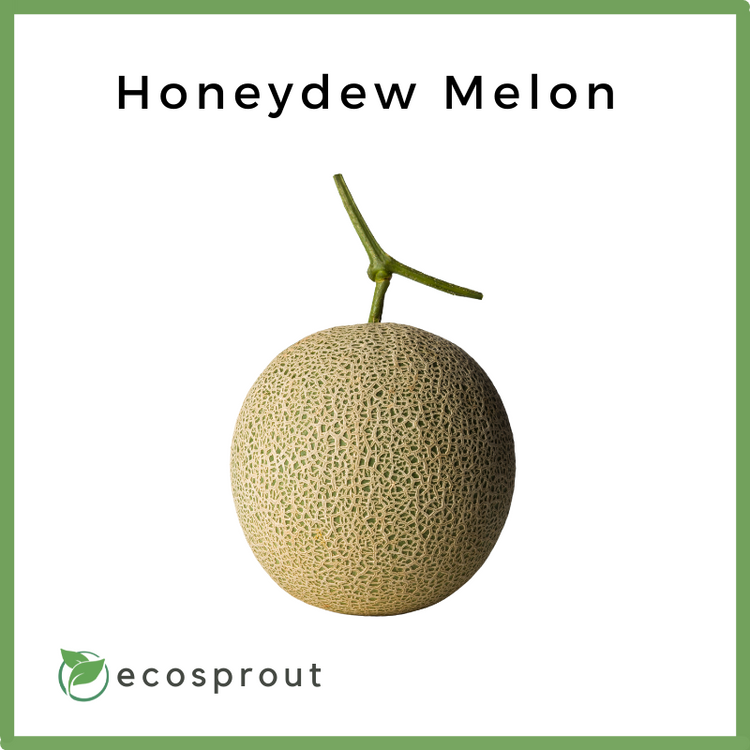 Honeydew Melon | Per Piece