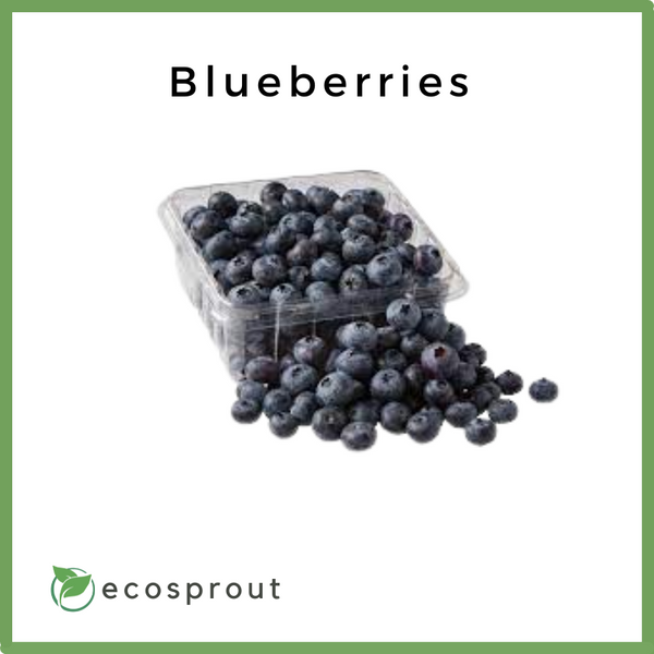 Fresh Blueberries For Delivery Near Me Ecosprout