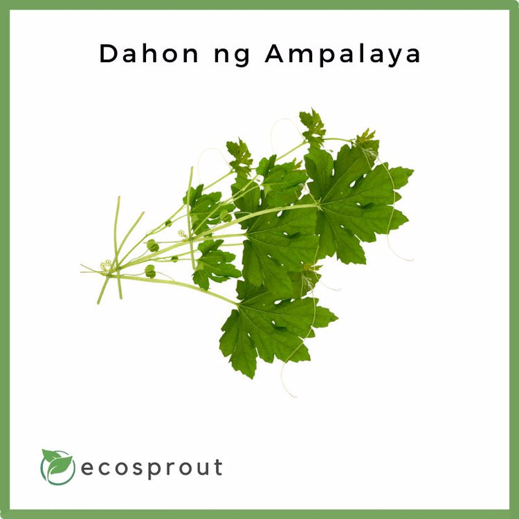 Dahon ng Ampalaya | Bitter Gourd Leaves | 100g
