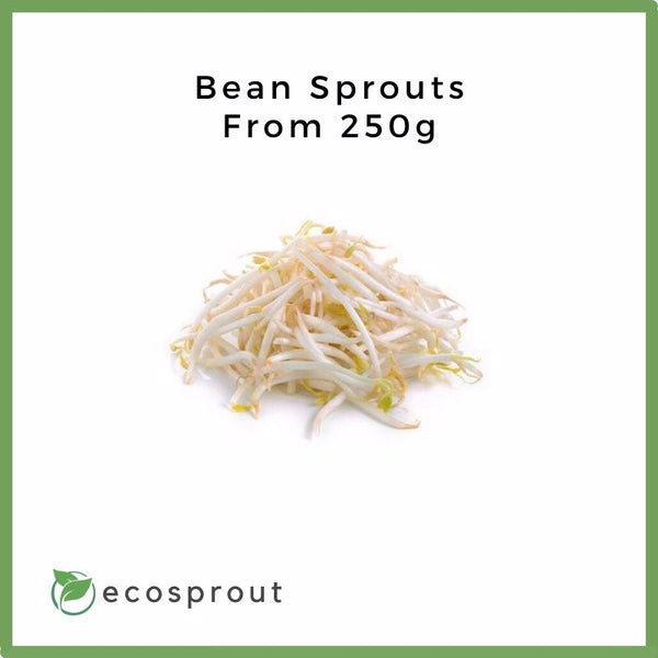 Fresh Bean Sprouts For Delivery Near Me Ecosprout