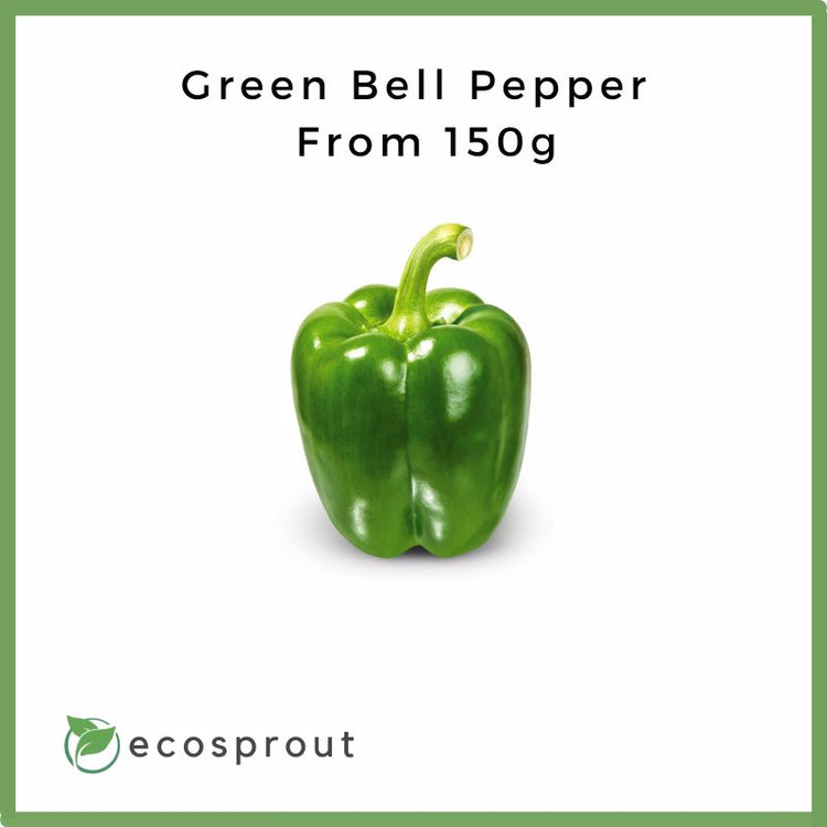 Green Bell Pepper | From 150g