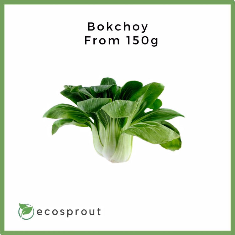 Fresh_Bokchoy