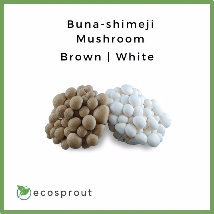Buna-shimeji Mushroom | 150g
