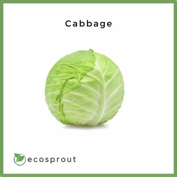 Cabbage Prices Near Me