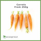 Carrots | From 250g- 1KG