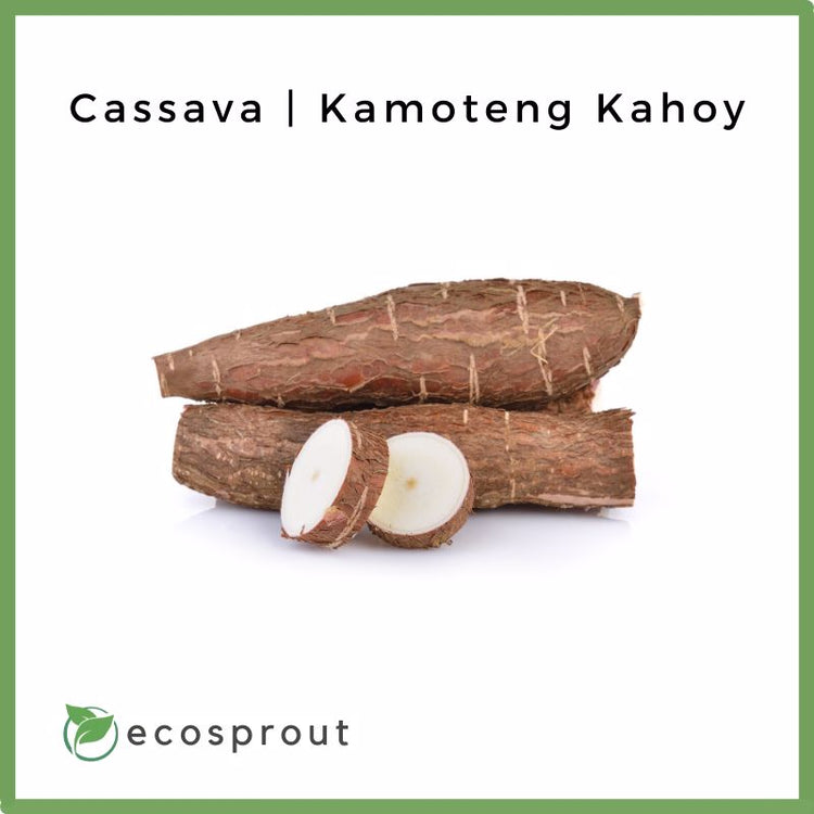 Cassava | Kamoteng Kahoy | From 500g