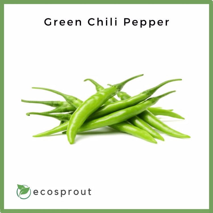 Green Chili Pepper | Sili Sigang) | 50g