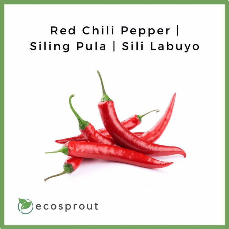 Red Chili Pepper | Siling Pula | Sili Labuyo | 50g