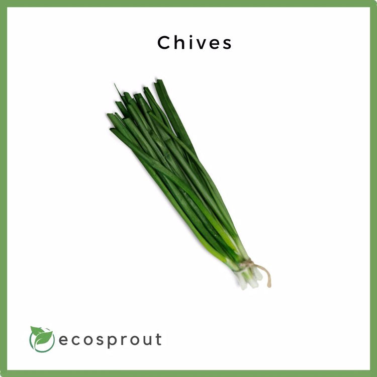 Chives | Kuchay | 100g