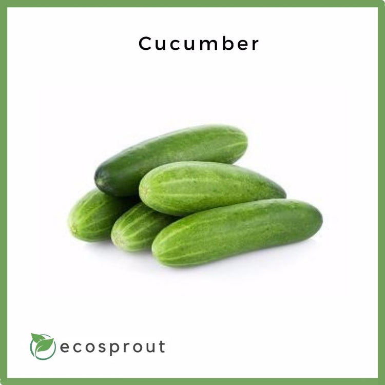 Cucumber |250g - 1KG