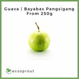 Guava | Bayabas Pangsigang | From 250g