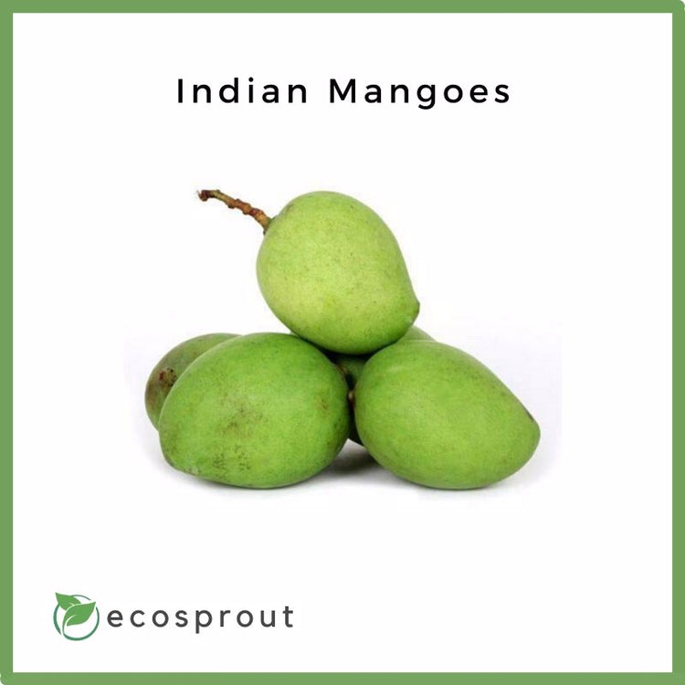 Indian Mangoes | 500g - 1KG
