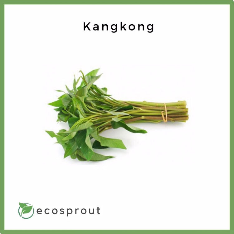 Kangkong | 250g