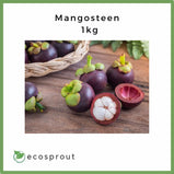 Mangosteen  | 1kg