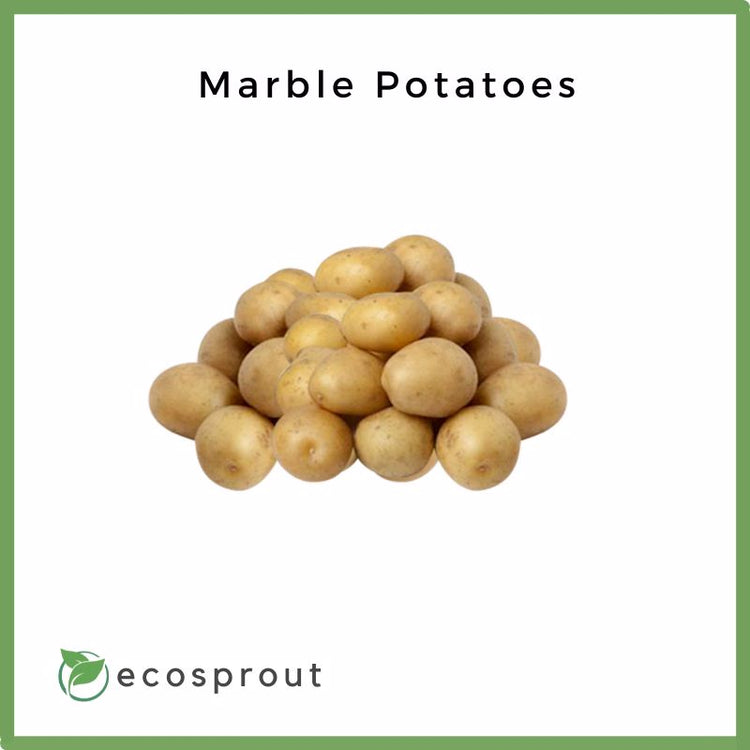 Fresh_Marble_Potatoes
