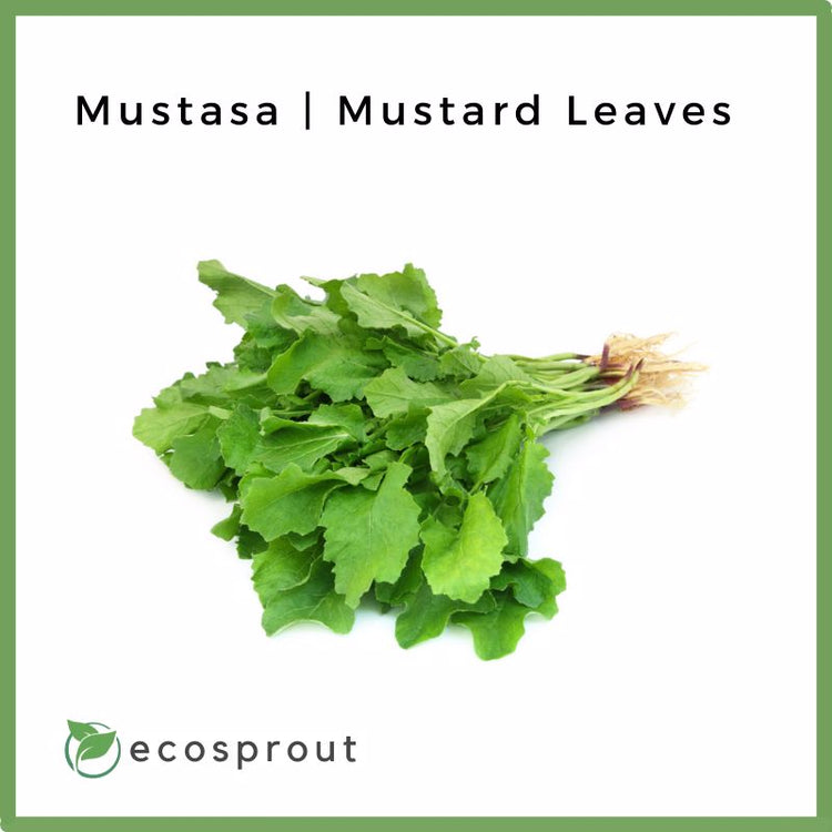 Mustasa | Fresh Mustard Leaves | 100g