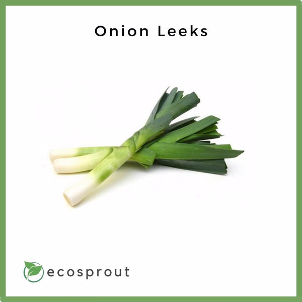 Fresh Onion Leeks For Delivery Near Me Ecosprout