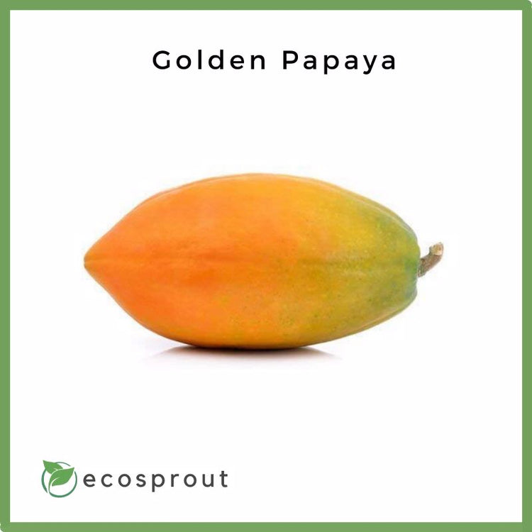 Golden Papaya | Per Piece