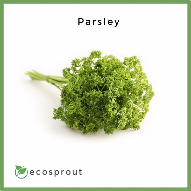 Parsley | 50g