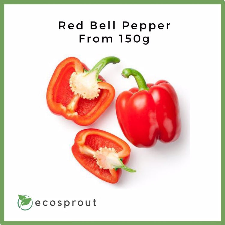 Red Bell Pepper | from 150g