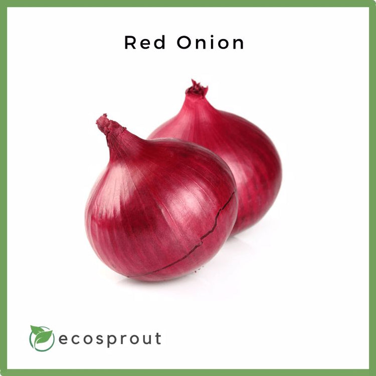 Red Onion | From 250g