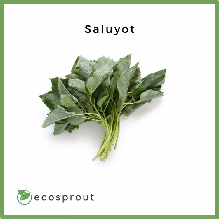 Saluyot | 100g