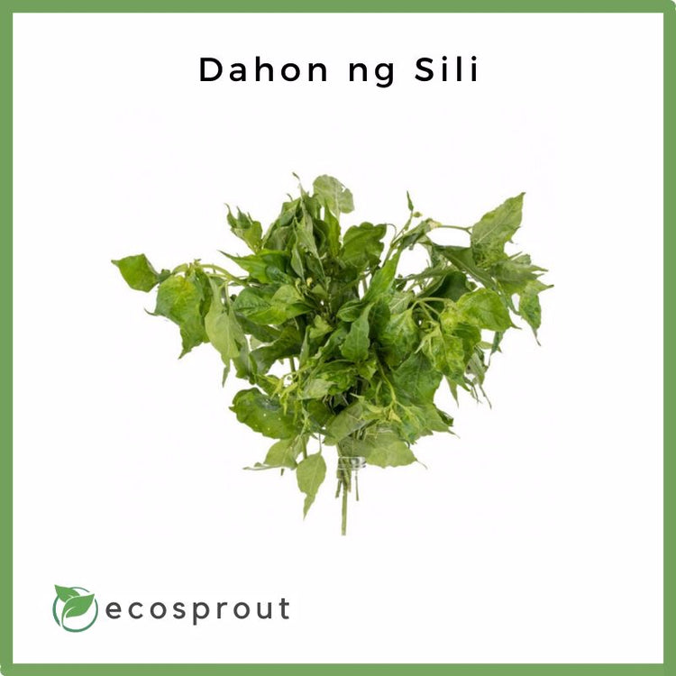 Dahon ng Sili | Chili Leaves | 50g