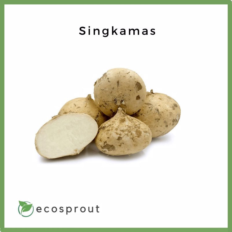 Singkamas | 500g