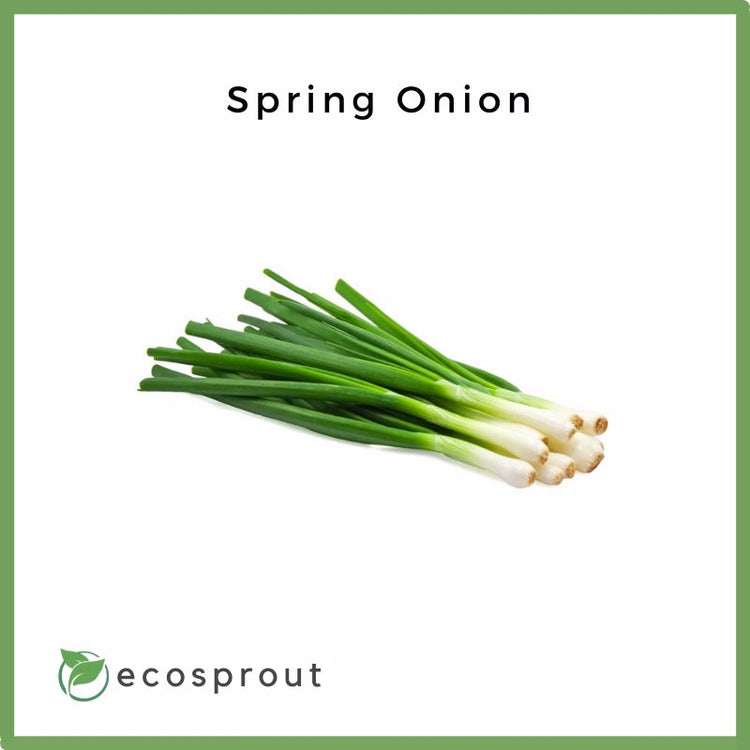 Spring Onion | 50g