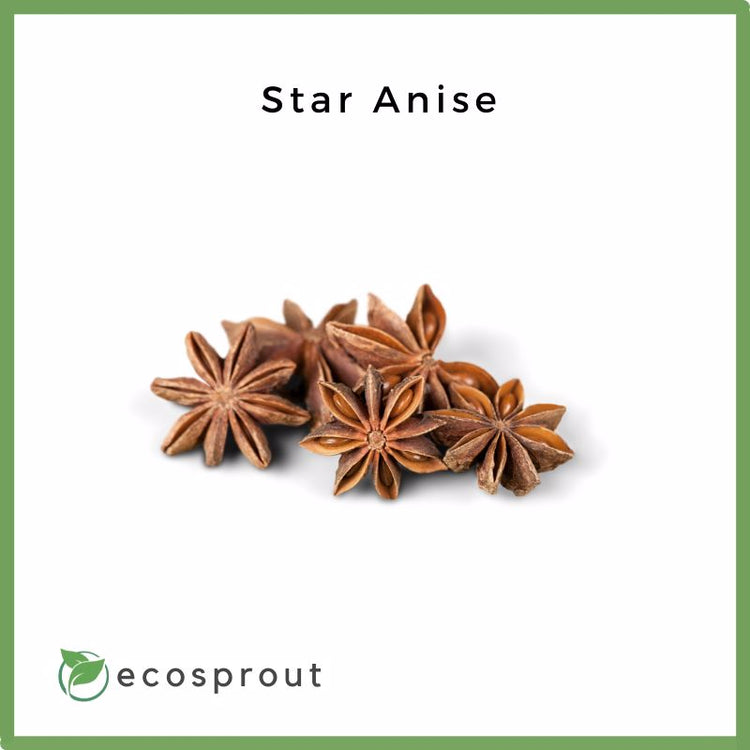 Star Anise | 15g