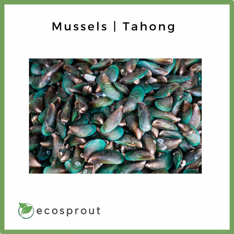 Mussels | Tahong | 500g