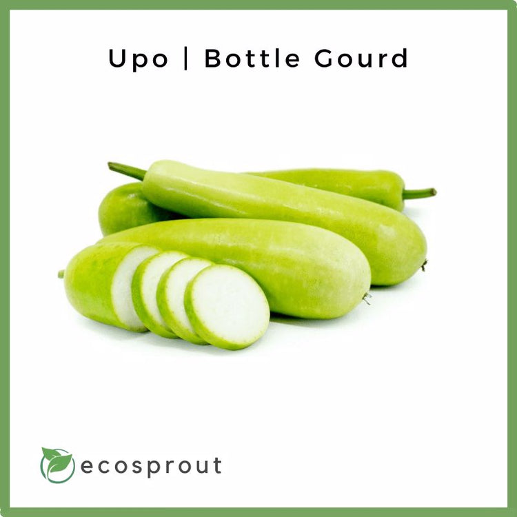 Upo | Bottle Gourd | Piece