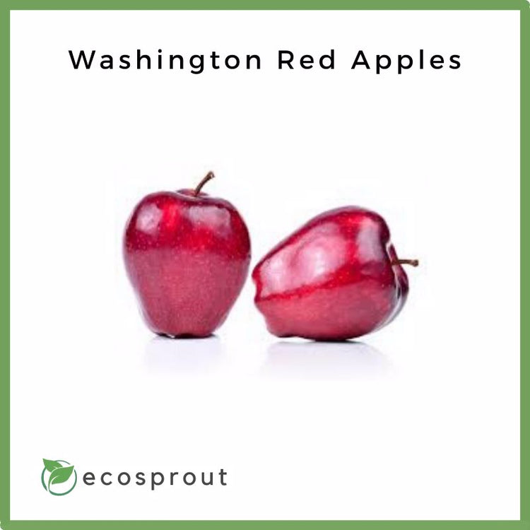 Washington Red Apple | 3 for 165