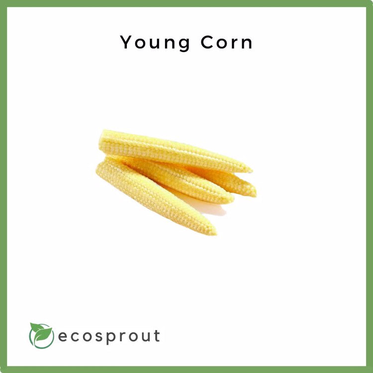 Young Corn | 100g | Pack