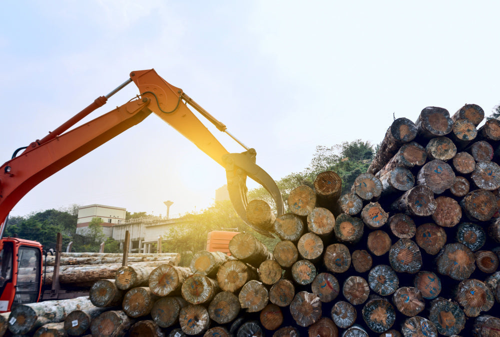 Canada Taxes US Lumber 25%, Plywood 50%