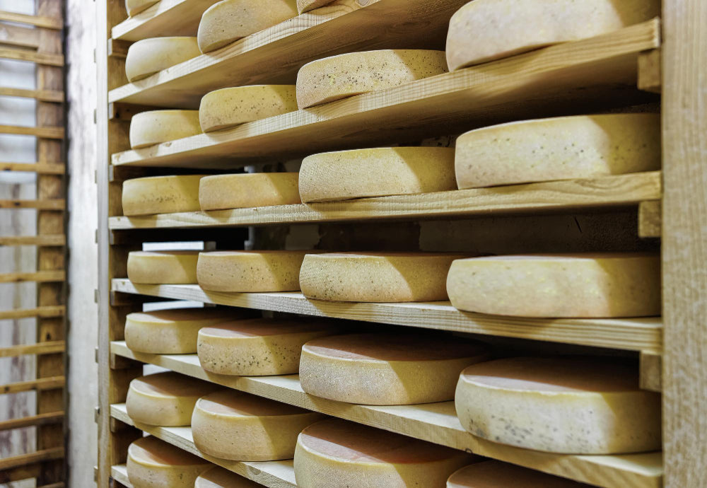 US Tariffs Push Swiss Cheesemakers to Cut Output