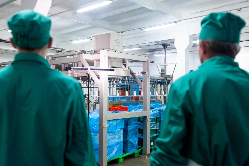 China’s Chicken Exports Jump 51% on Surplus