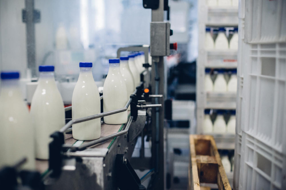 US Dairy Bets $13B as Farm Count Keeps Falling