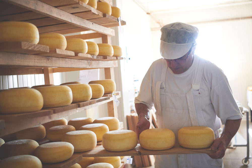 US Dairy Exports Fall 5% as Cheese Volume Peaks
