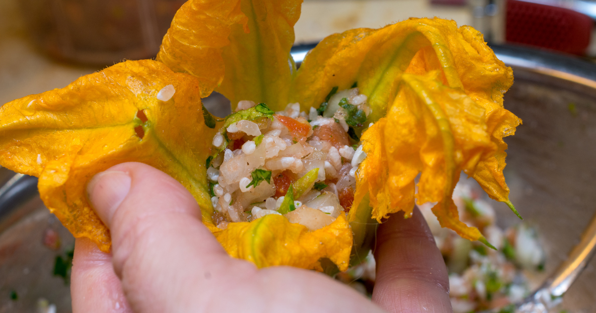 Health Benefits of Bulaklak ng Kalabasa