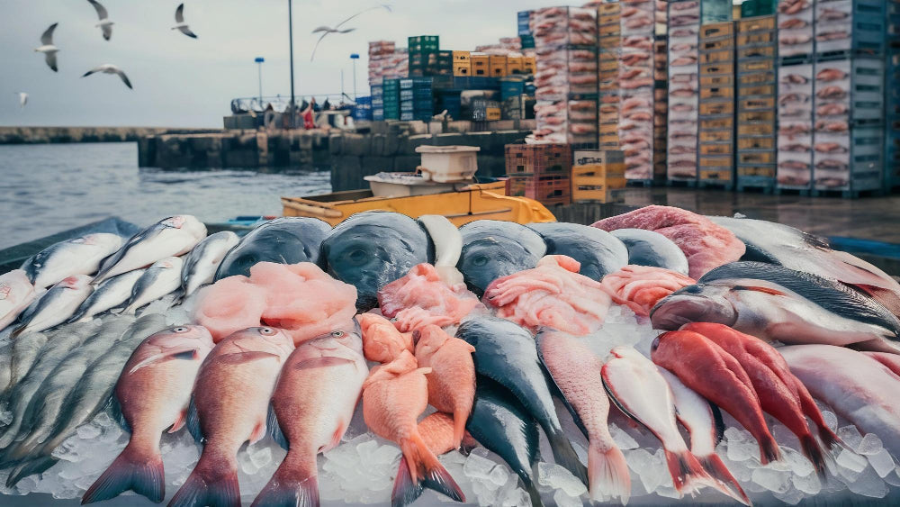 US Seafood Exports to Thailand Jump 60%