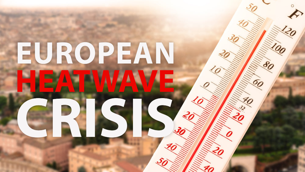 Heatwaves Cut EU Grain Output to 8%