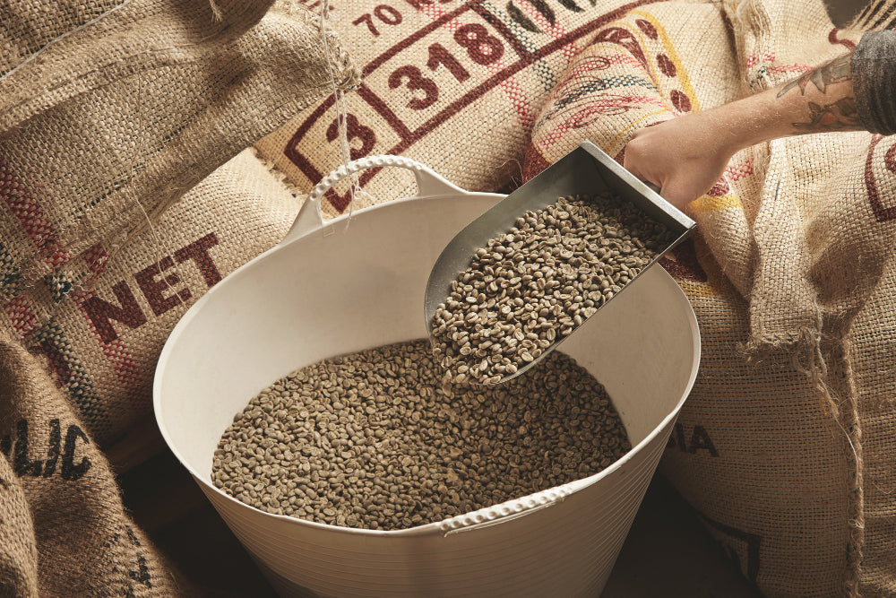 World Coffee Prices Fall 25% as Global Supply Climbs to a Record High