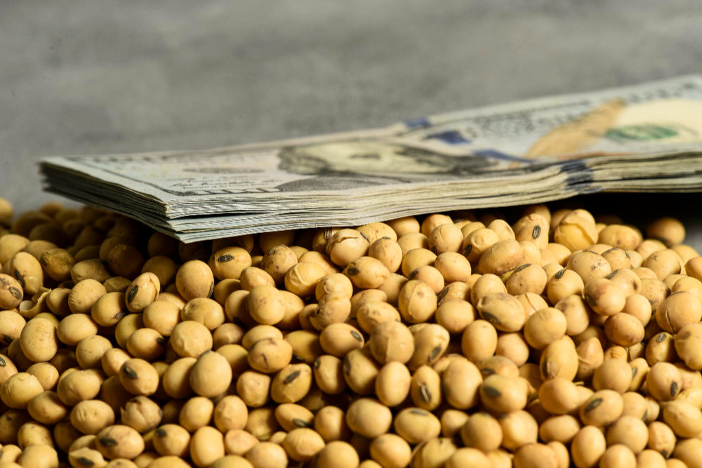 China's Buying Spree Tops 2M Tons of US Soybeans
