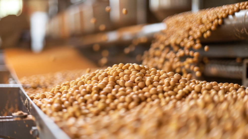 China's Brazil Soybean Purchases Sink on Losses